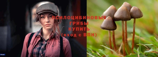 прущая мука Балахна