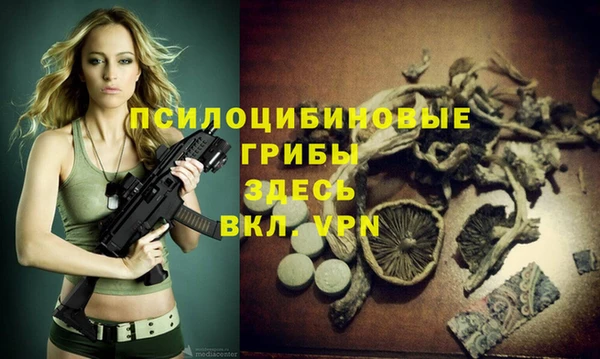 МДПВ Приозерск