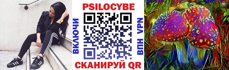 Галлюциногенные грибы мицелий  Усть-Джегута 